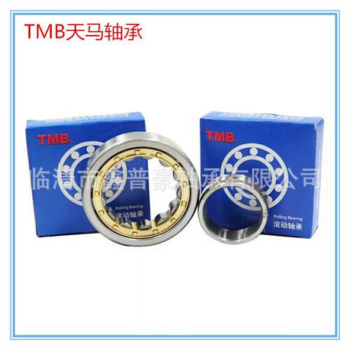 TMB/天马轴承NJ2218EM高精度圆柱滚子轴承通用轴承