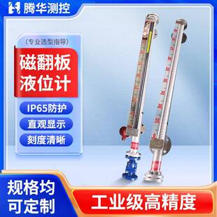 304不锈钢磁翻板液位计防腐带远传侧装顶装浮球磁性开关水油位计