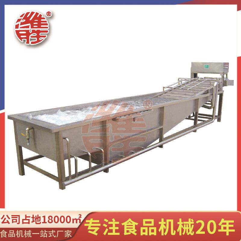 循环水使用果蔬气泡清洗机莴笋高压喷淋果蔬清洗机芸豆清洗设备