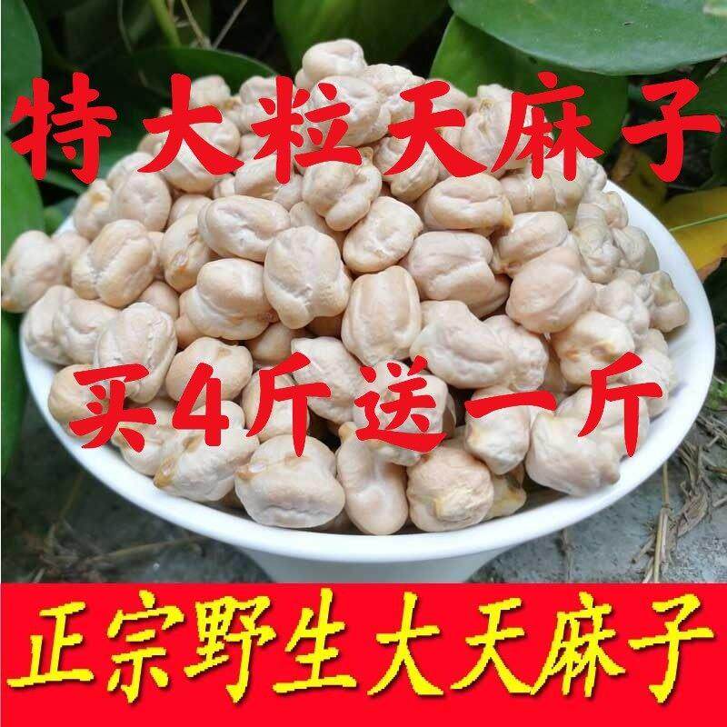 天麻子云南天麻子500g克天麻豆大天麻籽天麻豆长寿豆鹰嘴豆 包邮