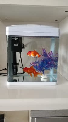 求助真相绿伴鱼缸怎么样，质量性能优缺点