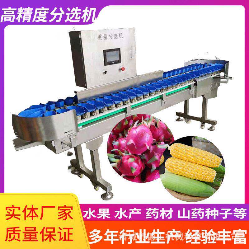 鲅鱼鲈鱼黄花鱼自动重量分选机料盒式称重分选设备橘子苹果分拣机