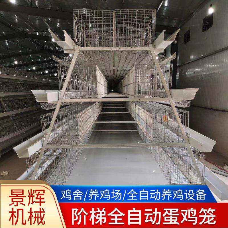蛋鸡笼多层阶梯全自动清粪捡蛋喂料厂家热镀锌阶梯全自动蛋鸡笼