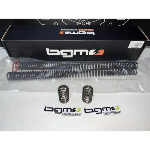 台湾BGM  NMAX155 AEROX NVX155前减震(前避震)弹簧 强化20%