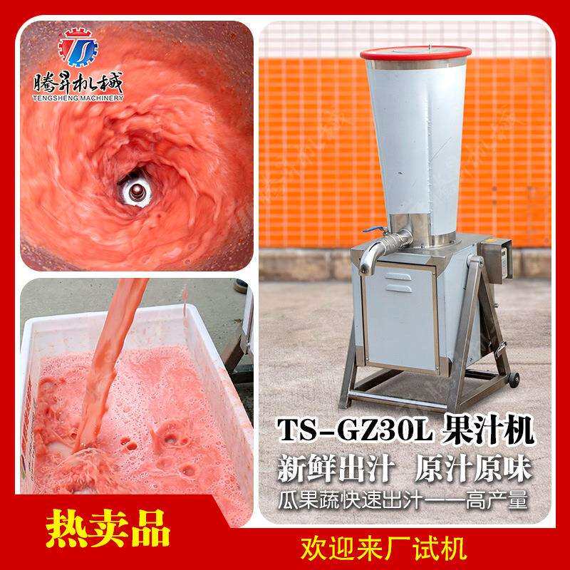 厂家直销大型西瓜榨汁机商用机 工厂用果蔬胡萝卜西红柿榨汁机