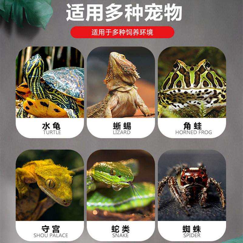 宠物蛇饲养套装爬虫箱雨林缸造景紫陆龟蝎蜥蜴守宫蛇苗繁殖保温箱