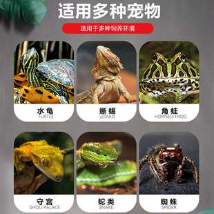 宠物蛇饲养套装 爬虫箱雨林缸造景紫陆龟蝎蜥蜴守宫蛇苗繁殖保温箱