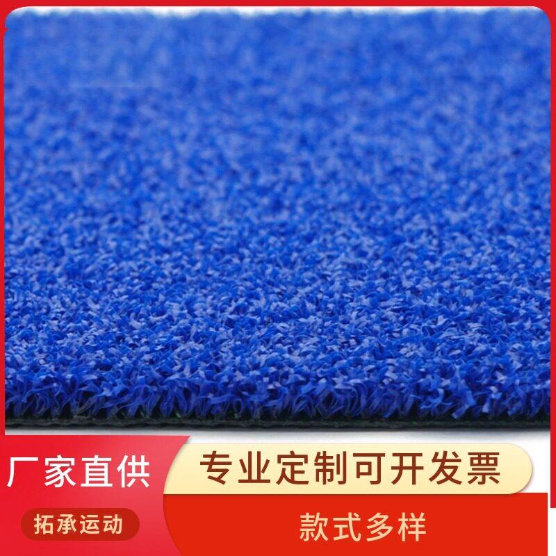 全景帕德尔板式网球场Padeltenniscourt板式网球场地图片