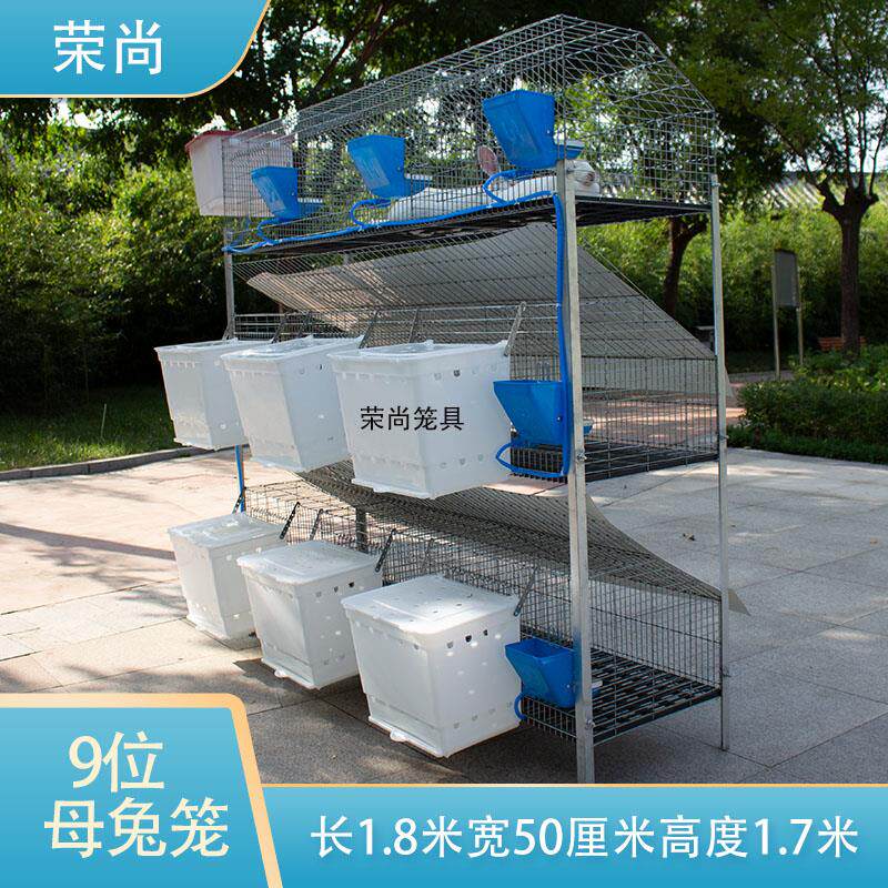 兔子笼自动清粪防喷尿兔笼家用养殖场专用专业特大号超大兔子笼子