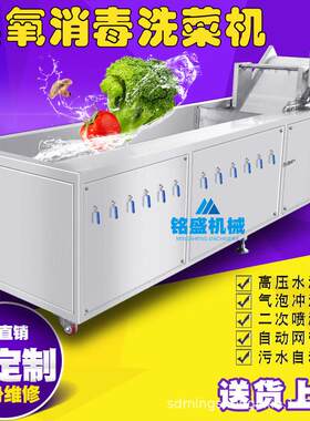 新品款陆奥苹果洗菜机 爱妃苹果臭氧杀菌清洗机 红桃杀菌清洗设备