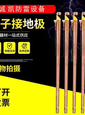 现货供应离子接地极50*1.5米纯铜防雷工程镀铜地极防雷工程专用