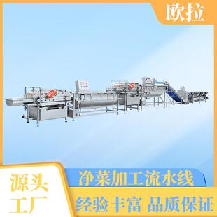 苹果加工清洗风干设备 不锈钢大枣筛选机 商用辣椒清洗加工流水线