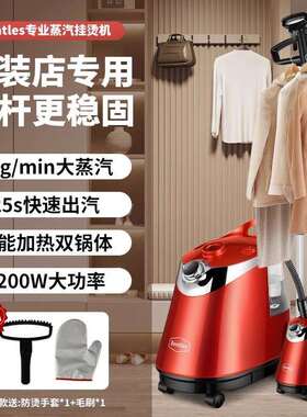 甲壳虫新款家用立式熨烫机服装店商用挂烫机宿舍手持大蒸汽电熨斗