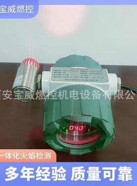 热电公司锅炉炉膛防爆一体化火焰检测器的安装调试BWZJ-FTA