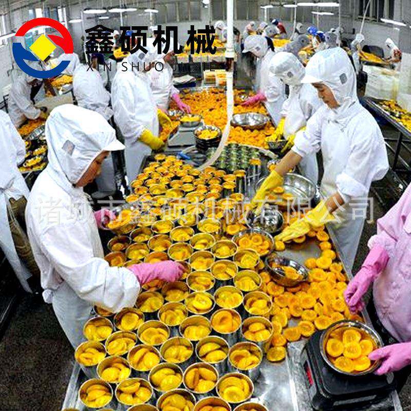 水果罐头生产线 黄桃罐头加工清洗成套设备 水果罐头生产制作设备