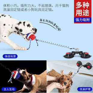 吸盘狗狗宠物吸盘固定器吸盘重型 牵引绳挂钩 锚玩具厂家直销强力