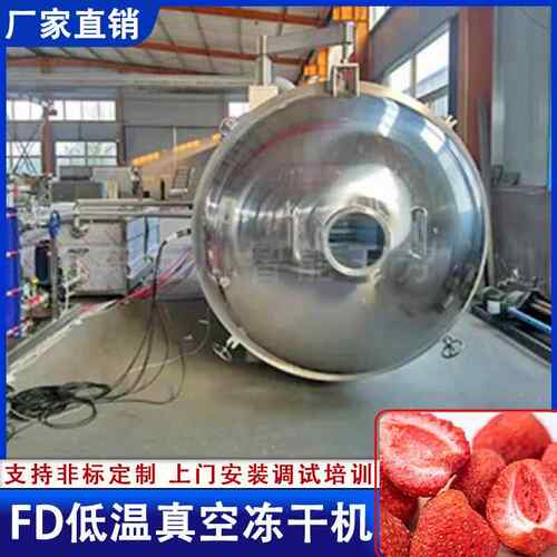 全自动空冻干草莓设备 果蔬脆真新一代FD低温HFD350L真空干脆燥机