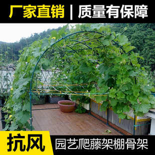 庭院拱门花架户外月季丝瓜葡萄百香果植物爬藤架园艺爬藤花卉支架