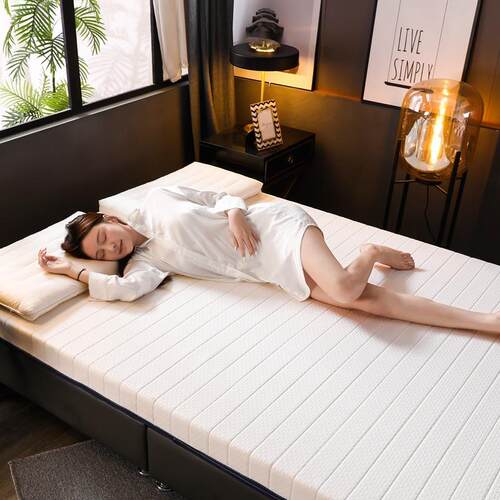 织厂直供针棉乳胶记棉床垫透气VDZ榻榻家米慢回弹床褥忆子学生床