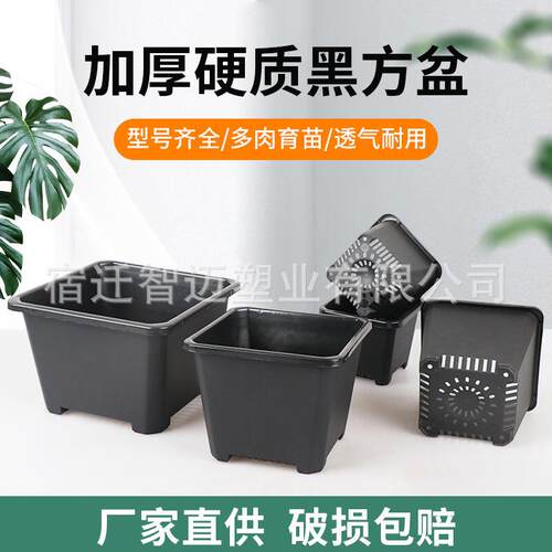 多肉植物加厚花盆景天盆塑料大黑方透气绿植室内花卉方盆育苗盆栽