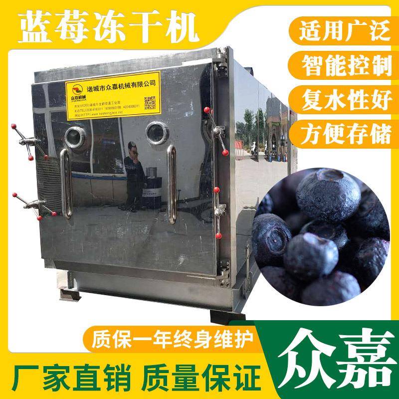 蓝莓真空冻干机菠萝秋葵苹果脆片冻干机果蔬脆真空冷冻干燥机