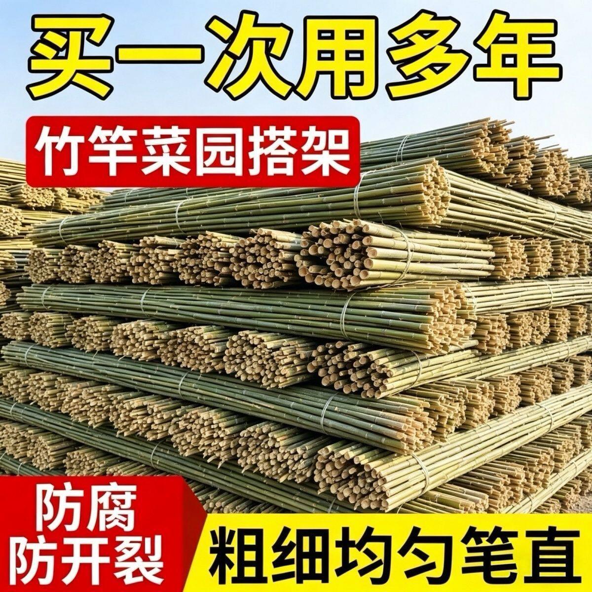竹竿菜园搭架蔬菜黄瓜番茄豆角架小竹竿支撑架葡萄架棋杆辣椒竹子