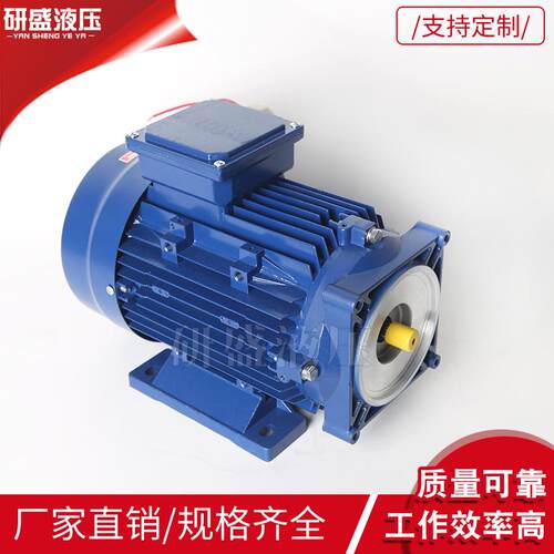AC220V0.75w-4w交流电机铸铁电机液压动力元升降机货梯泵站