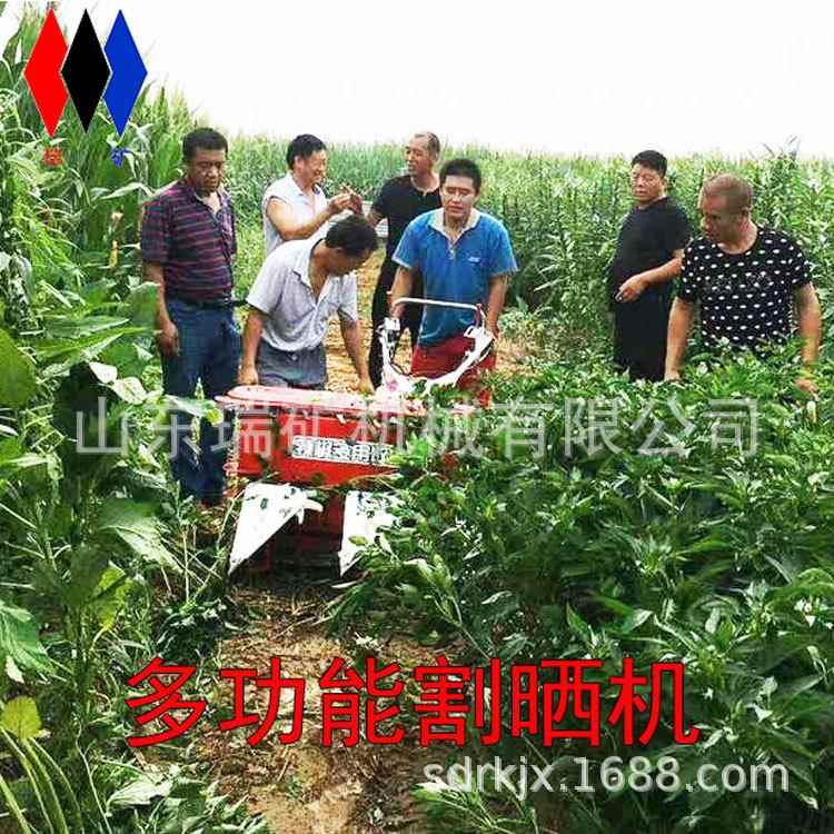 油玉割晒谷机辣椒收割机米水稻子高OQX粱收获机汽柴油四轮车带