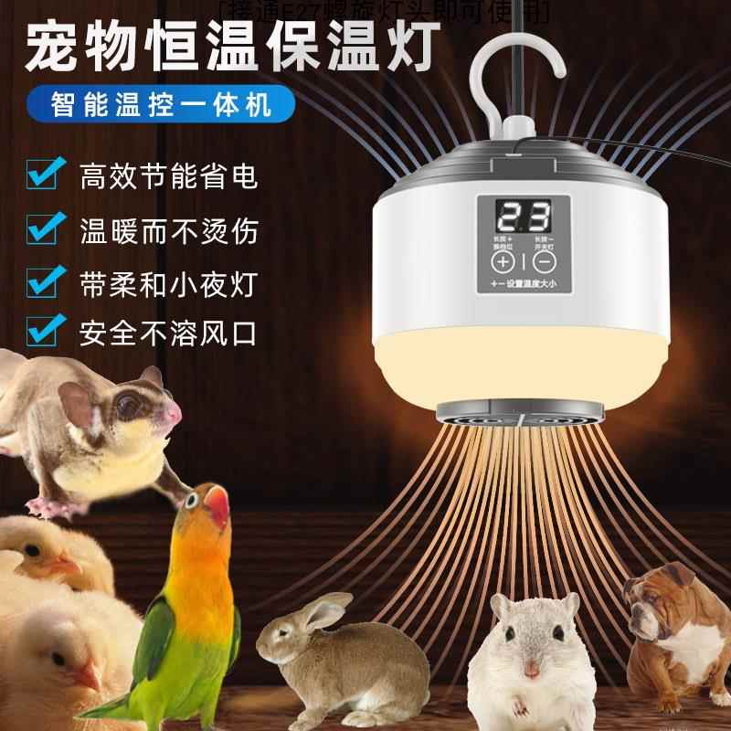 宠物鹦鹉暖风机保暖灯仓鼠刺猬蜜袋鼯过冬智能恒温防烫加热保温灯