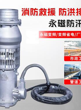永磁防汛泵电动轻便高扬程排涝变频抽水泵便携式大流量抽水防汛泵