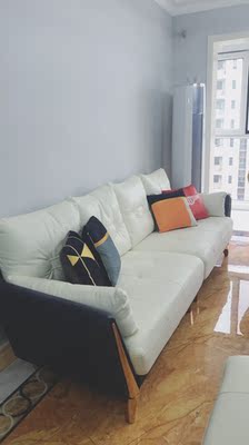 北欧头层牛皮客厅小户型真皮沙发怎么样？听说多人被坑说法有依据吗？
