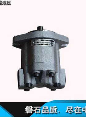 天津特精齿轮泵GM5-20-1FE13S-20 压路机双联泵 G5-16-6-1FE13S
