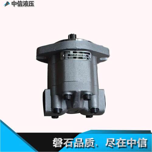 天津特精齿轮泵GM5-20-1FE13S-20 压路机双联泵 G5-16-6-1FE13S