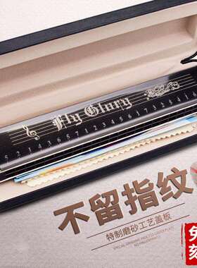 德国进口飞煌24孔复音口琴A/B/C/D/E/F/G/A#/C#/D#/F#/G#12调全套