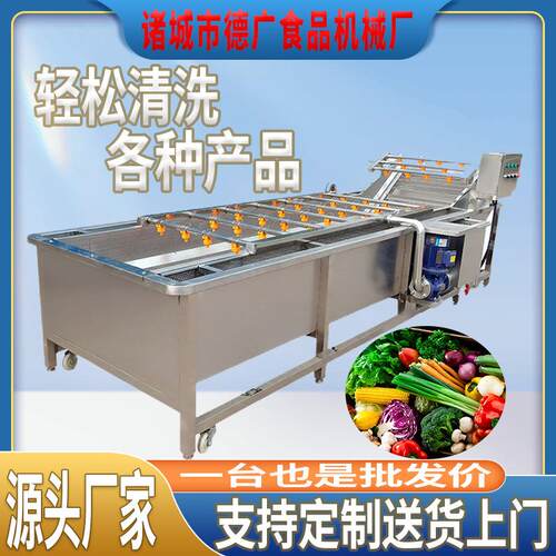 水果全自动气泡清洗机葡萄清洗设备毛桃喷淋高效蔬果果蔬