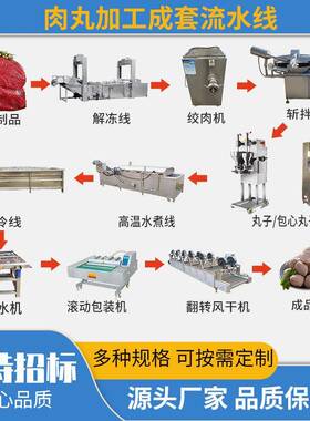 牛肉丸成套加工设备蔬菜肉丸火锅丸子打浆机肉丸打浆机