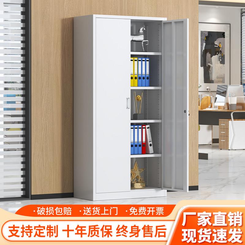 钢制办公室对开 铁文件柜档案资料柜多层财务凭证柜带锁铁皮收纳