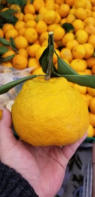 Silver Cross Pioneer婴儿推车怎么样?质量坑质量差?这些是真实吗