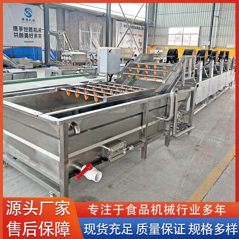 大葱气泡清洗流水线 紫苏叶果蔬喷淋式清洗机 供应玫瑰花清洗机