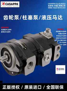 意大利CASAPPA高压齿轮泵KP徐工Sany工程车PLP单联HD多联液压泵