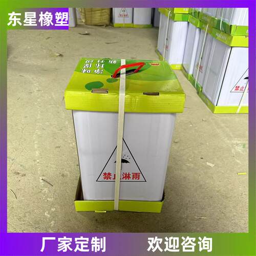 阻燃型氯丁酚醛合成胶粘剂地铁盾构胶组份氯丁酚醛粘合剂