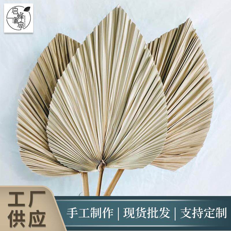 源头厂家蒲葵干花宽30高40cm心形大号田园风婚庆造景摆放陈列适用