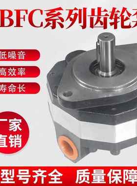 高压液压油泵CBFC转向齿轮油泵CBFC10/12/16/20/25/32/40/50/63