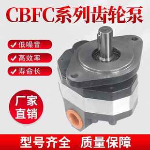 高压液压油泵CBFC转向齿轮油泵CBFC10