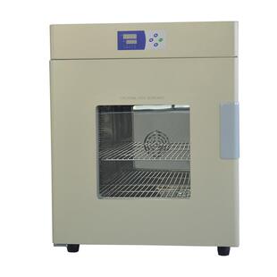 电热恒温鼓风干燥箱试验箱高低温烘箱DHG 9240AS 立式 嘉兴中新