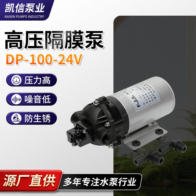 厂家规格齐全DP-100微型隔膜泵电动隔膜泵微型自动隔膜泵