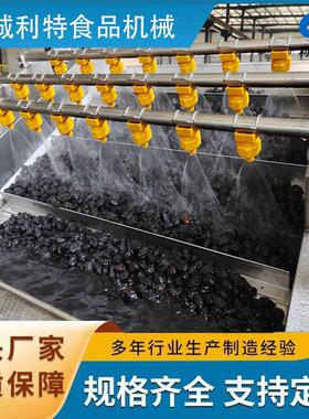 效机速MAGA-102冻干鼓果浪外清洗设备压气泡清洗包装袋去油污清洗