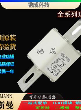 巴斯曼170M4690170M4691170M4692供货销售低压保险丝