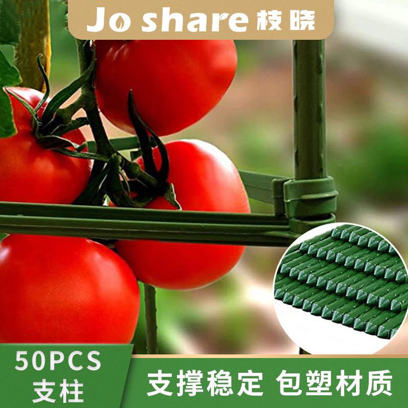 枝晓 番茄支架连接杆 亚马逊25 50PCS园艺支柱花卉西红柿种植