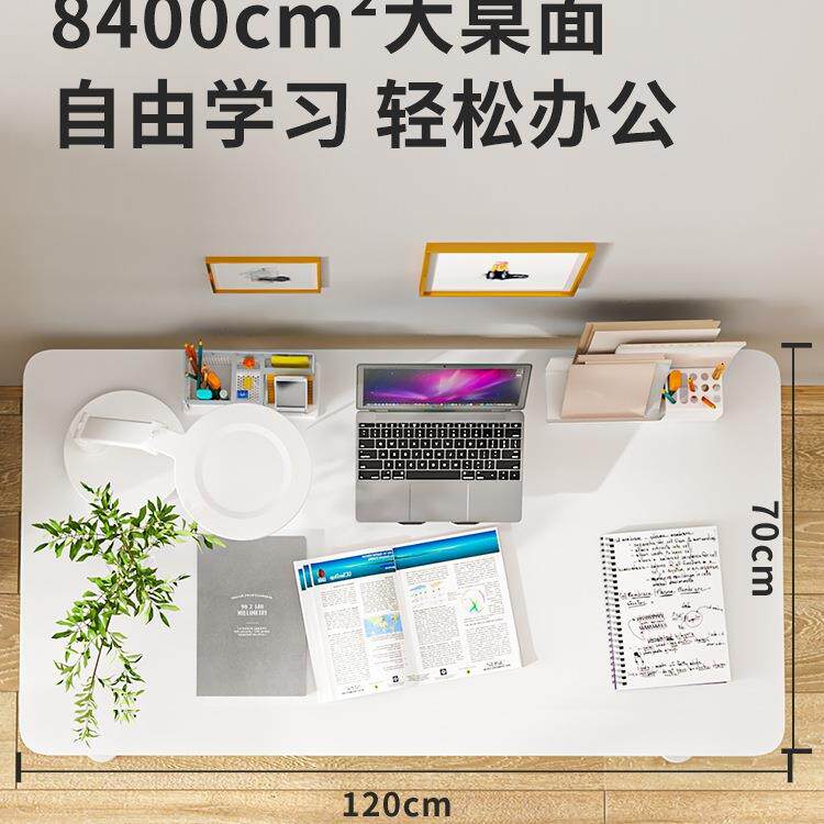 桌桌儿童学习学生书桌家用写字桌可升降WQT大青白桌年贝肯特实木